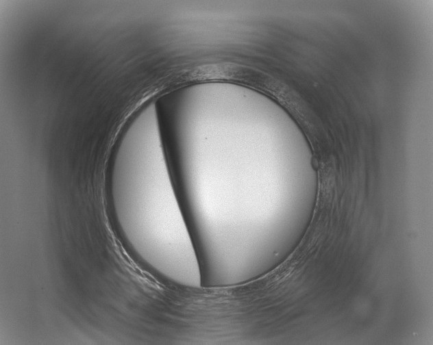 X0000063450386200601201000