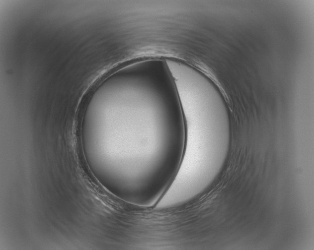 X0000063450387200601201000