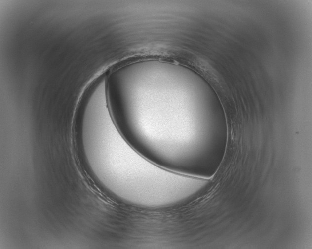 X0000063450388200601201000