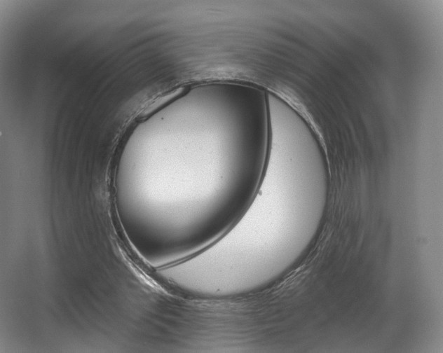 X0000063450389200601201000