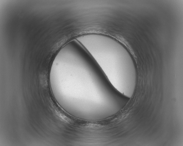X0000063450393200601201000