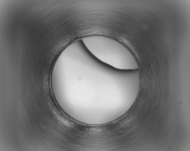 X0000063450394200601201000