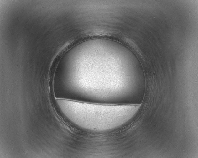 X0000063450395200601201000
