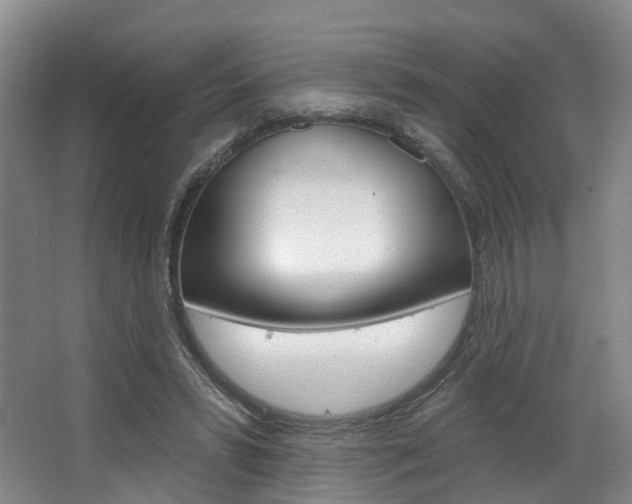 X0000063450399200601201000