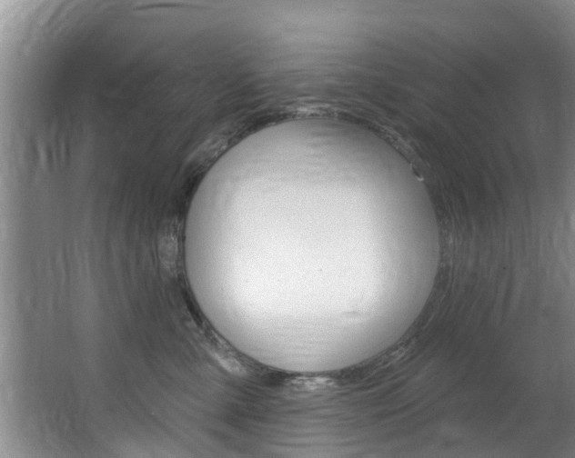 X0000063450427200601201000