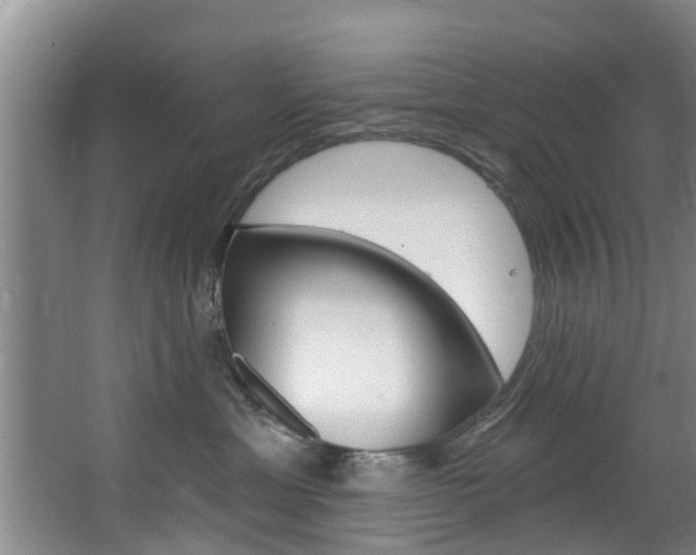 X0000063450429200601201000