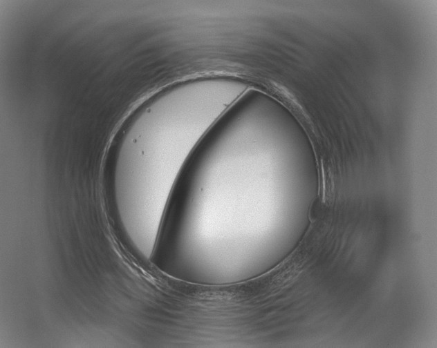 X0000063450435200601200959