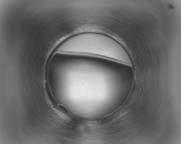X0000063450438200601200959