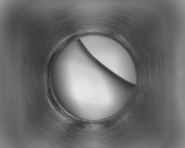 X0000063450444200601200959