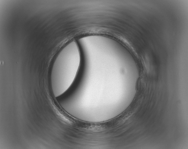 X0000063450445200601200959