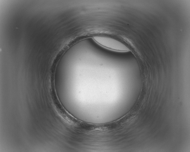 X0000063450447200601200959