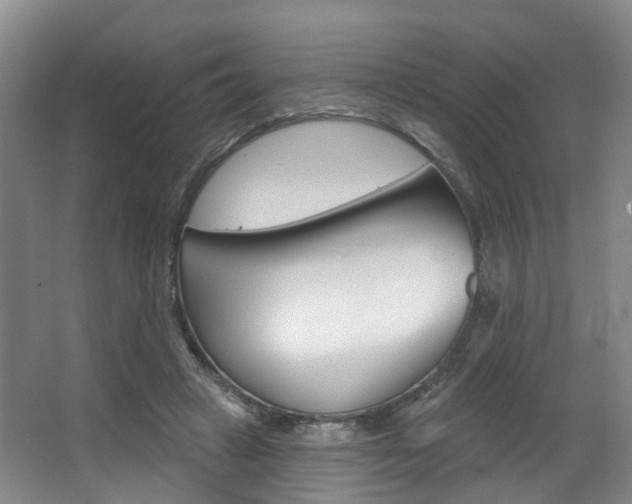 X0000063450449200601200959