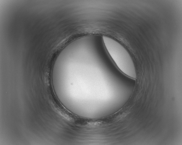 X0000063450450200601200959
