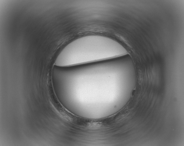 X0000063450451200601200959