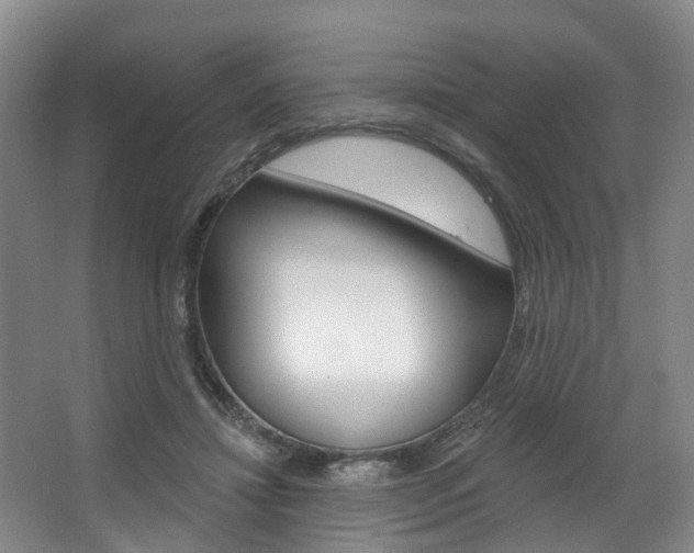 X0000063450452200601200959