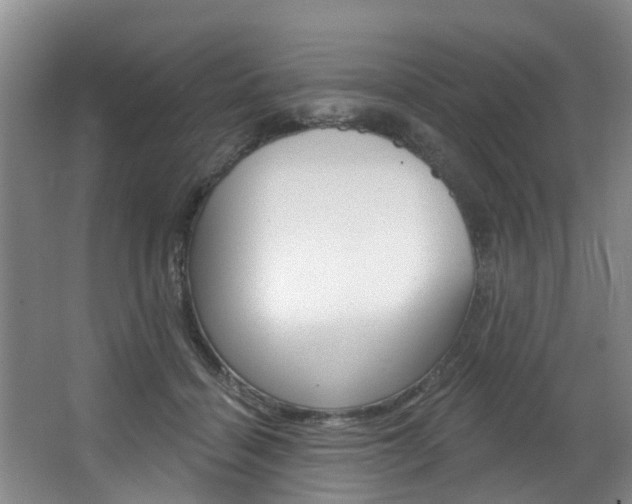 X0000063450460200601200959