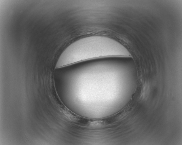 X0000063450461200601200959