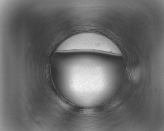 X0000063450462200601200959