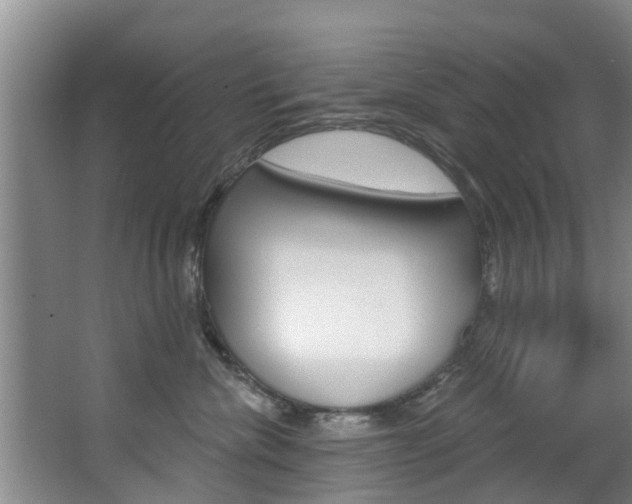 X0000063450476200601200959