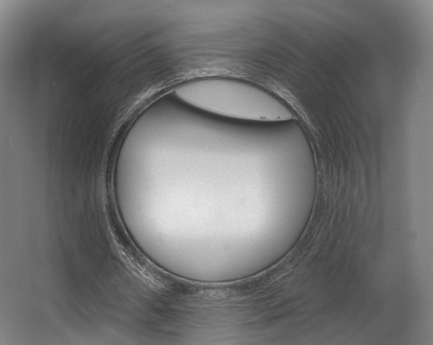 X0000063450482200601200959