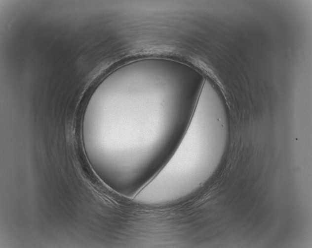 X0000063450483200601200959