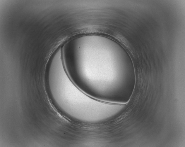X0000063450485200601200959