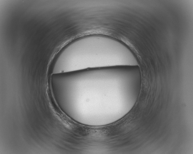 X0000063450486200601200959