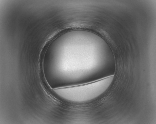 X0000063450488200601200959