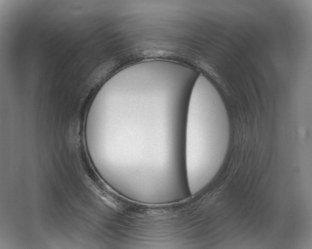 X0000063450490200601200959
