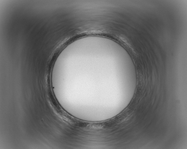 X0000063450491200601200959