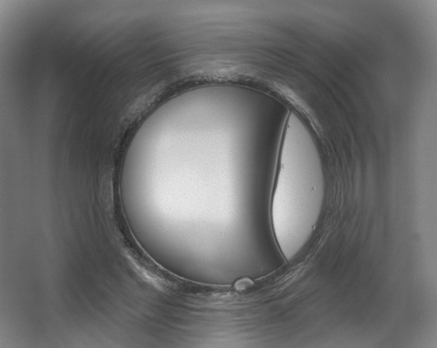 X0000063450493200601200959