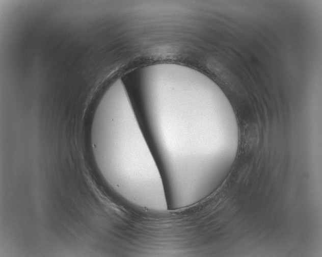 X0000063450494200601200958