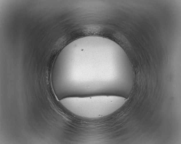 X0000063450498200601200958