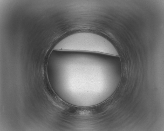 X0000063450500200601200958