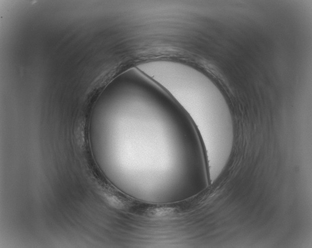 X0000063450501200601200958