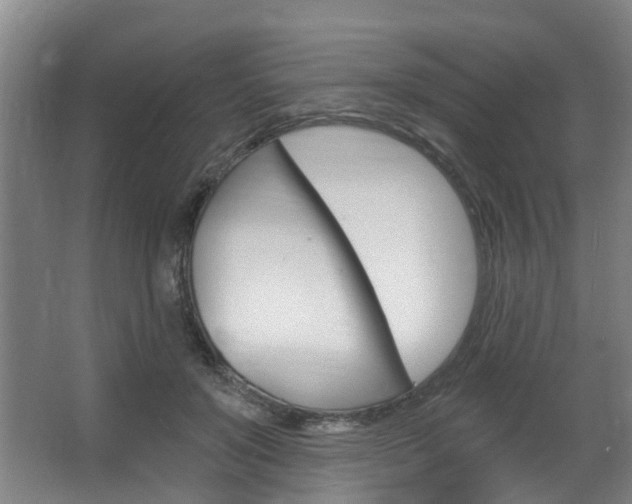 X0000063450503200601200958