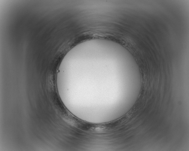 X0000063450506200601200958