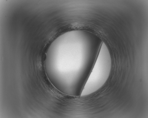 X0000063450508200601200958