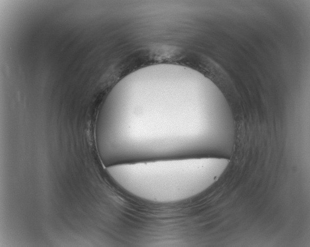 X0000063450510200601200958