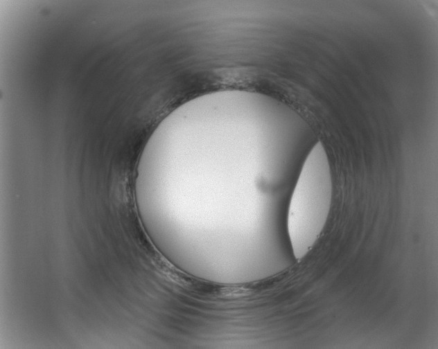 X0000063450514200601200958