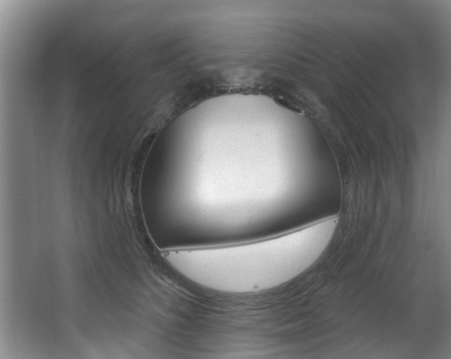 X0000063450516200601200958