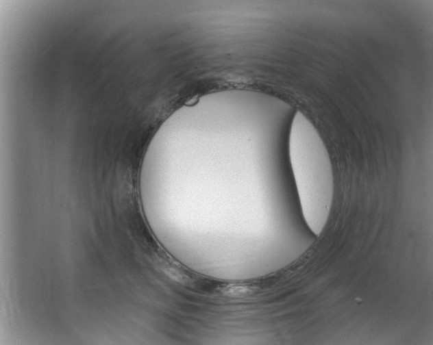 X0000063450518200601200958
