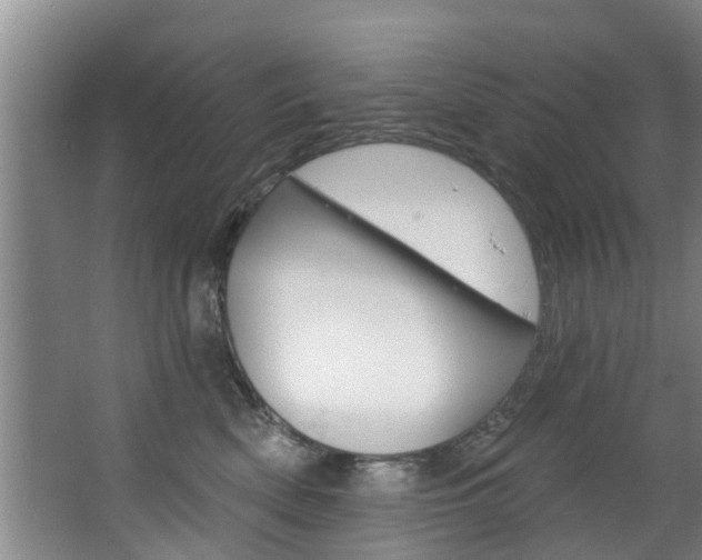 X0000063450522200601200958