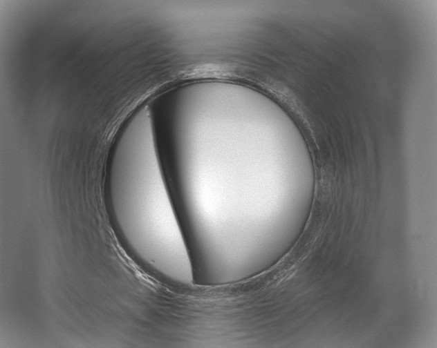 X0000063450529200601200957