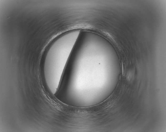 X0000063450531200601200957