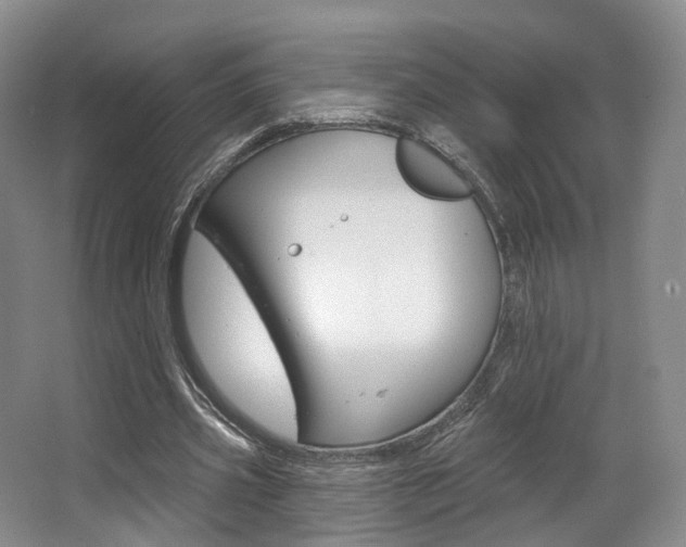 X0000063450533200601200957