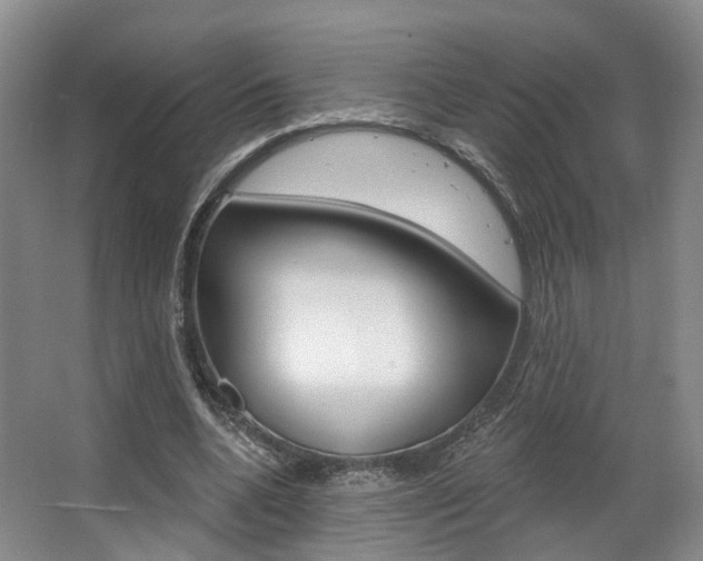 X0000063450536200601200957