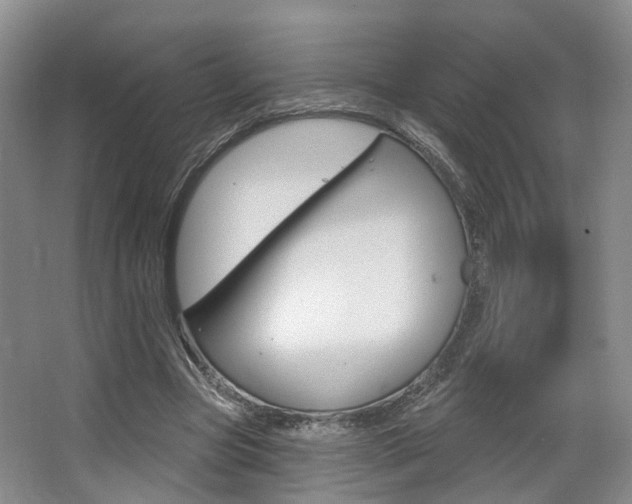 X0000063450537200601200957