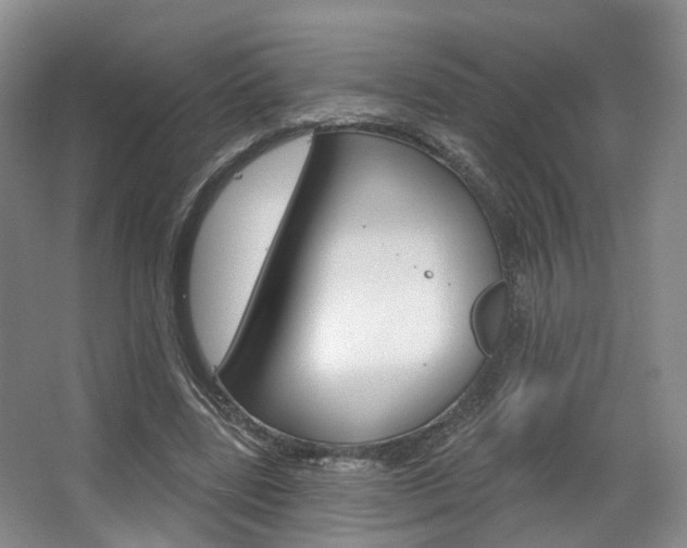 X0000063450539200601200957