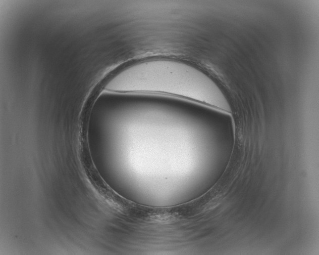 X0000063450540200601200957